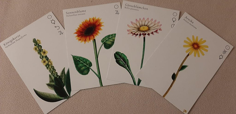 Astromedizin - Pflenzenastrologie - Ernestine Brandlehner unterstützt die unausgewogenen Planetenkräfte
